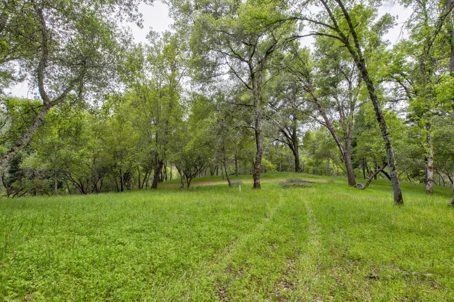 Detail Gallery Image 90 of 97 For 6909 Flat Creek Rd, Somerset,  CA 95684 - 3 Beds | 2/1 Baths