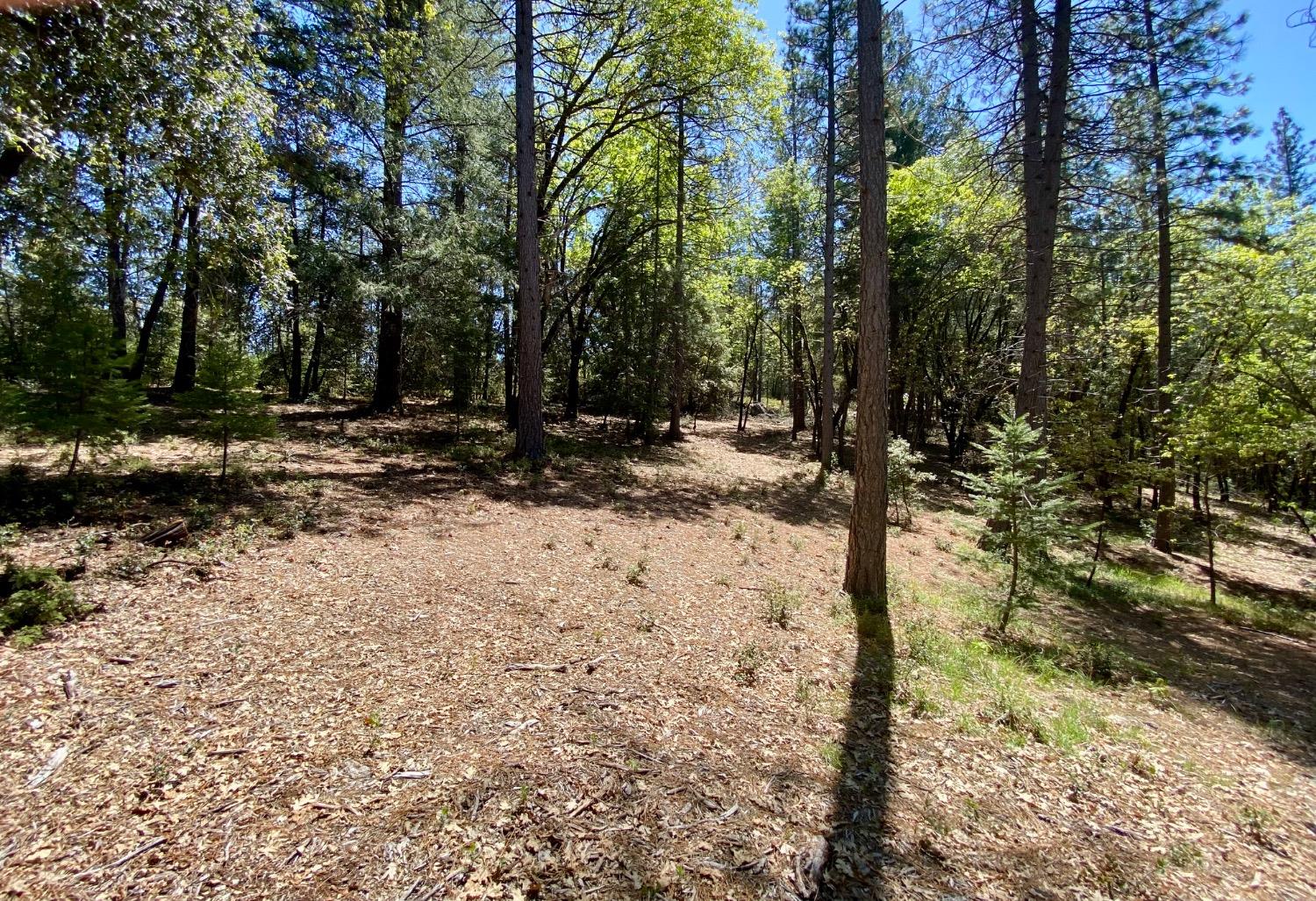 Red Dog Road, Nevada City, California image 16
