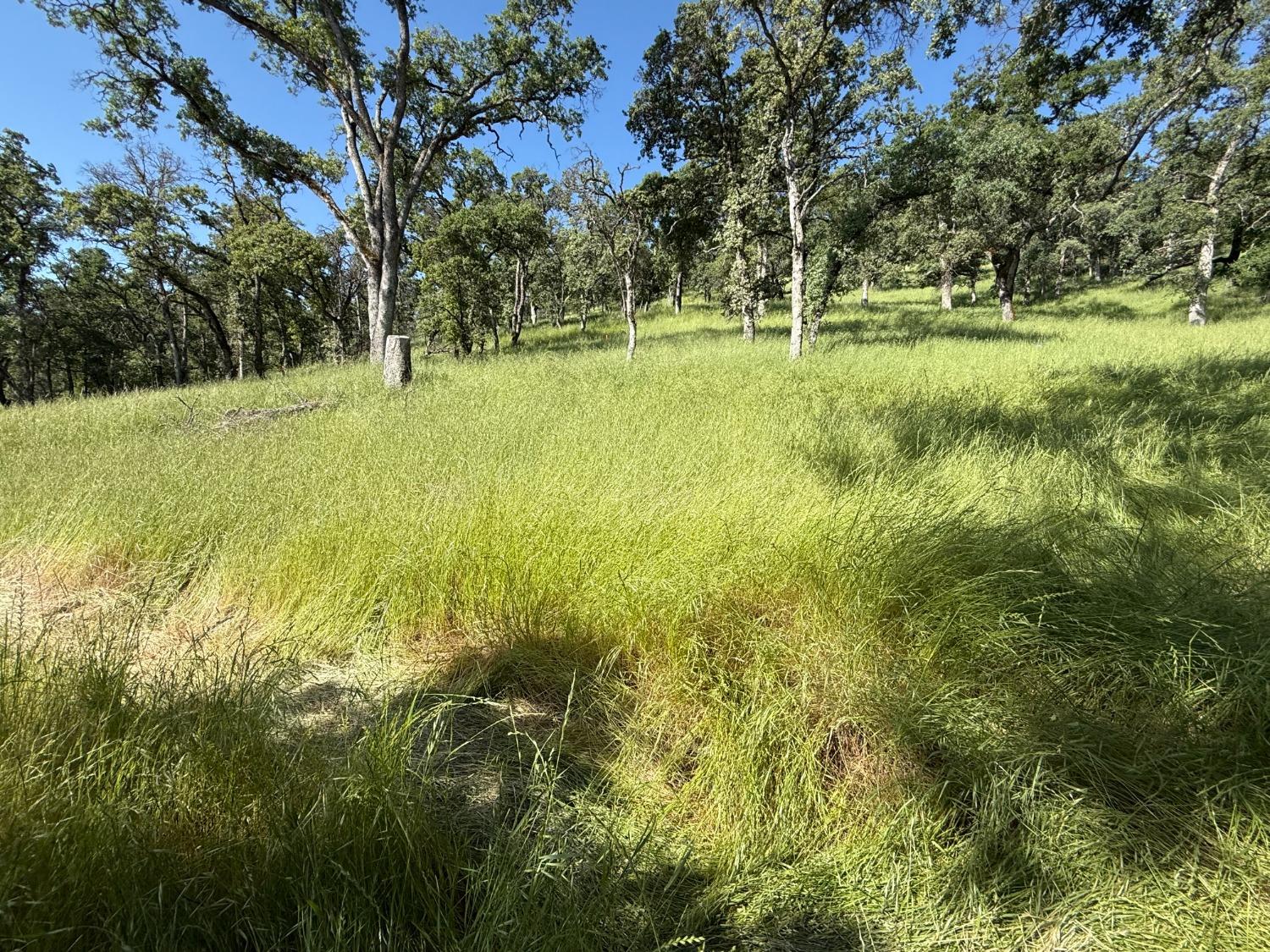 Boulder Way, Smartsville, California image 16