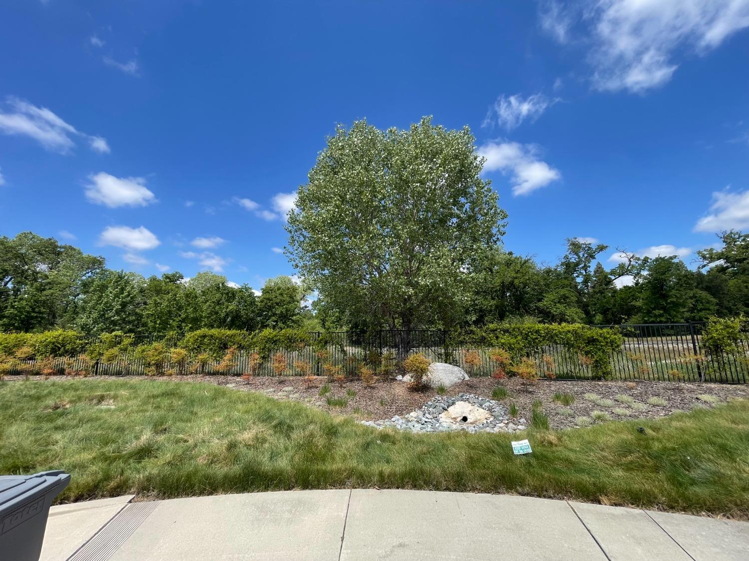 Holden Drive, Rocklin, California image 8