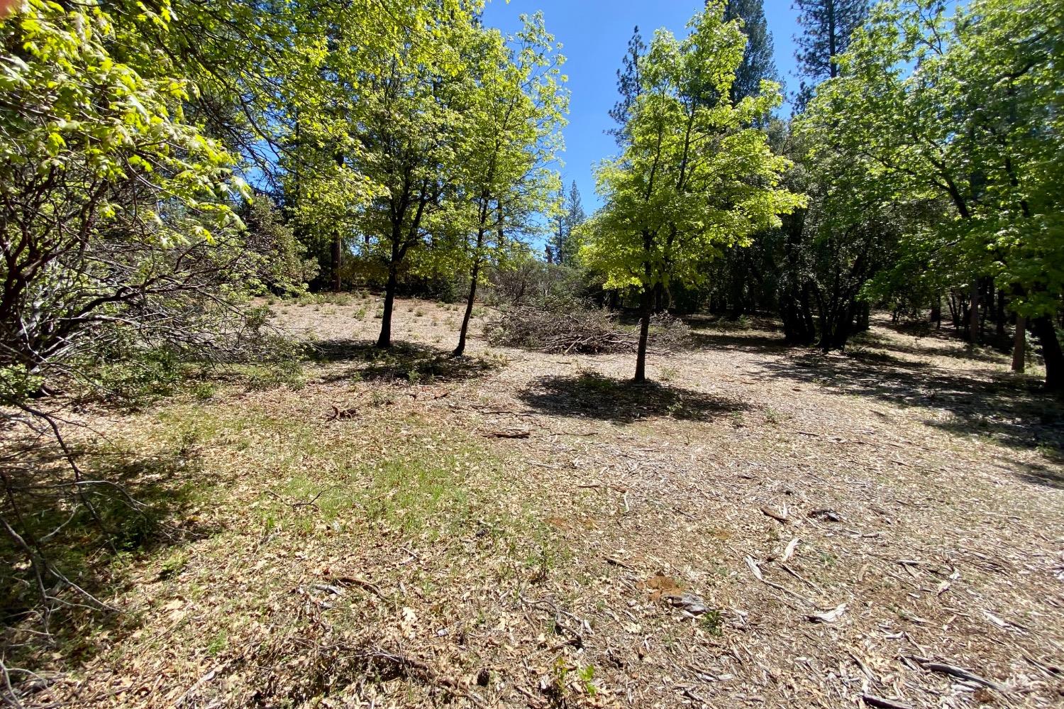 Red Dog Road, Nevada City, California image 10