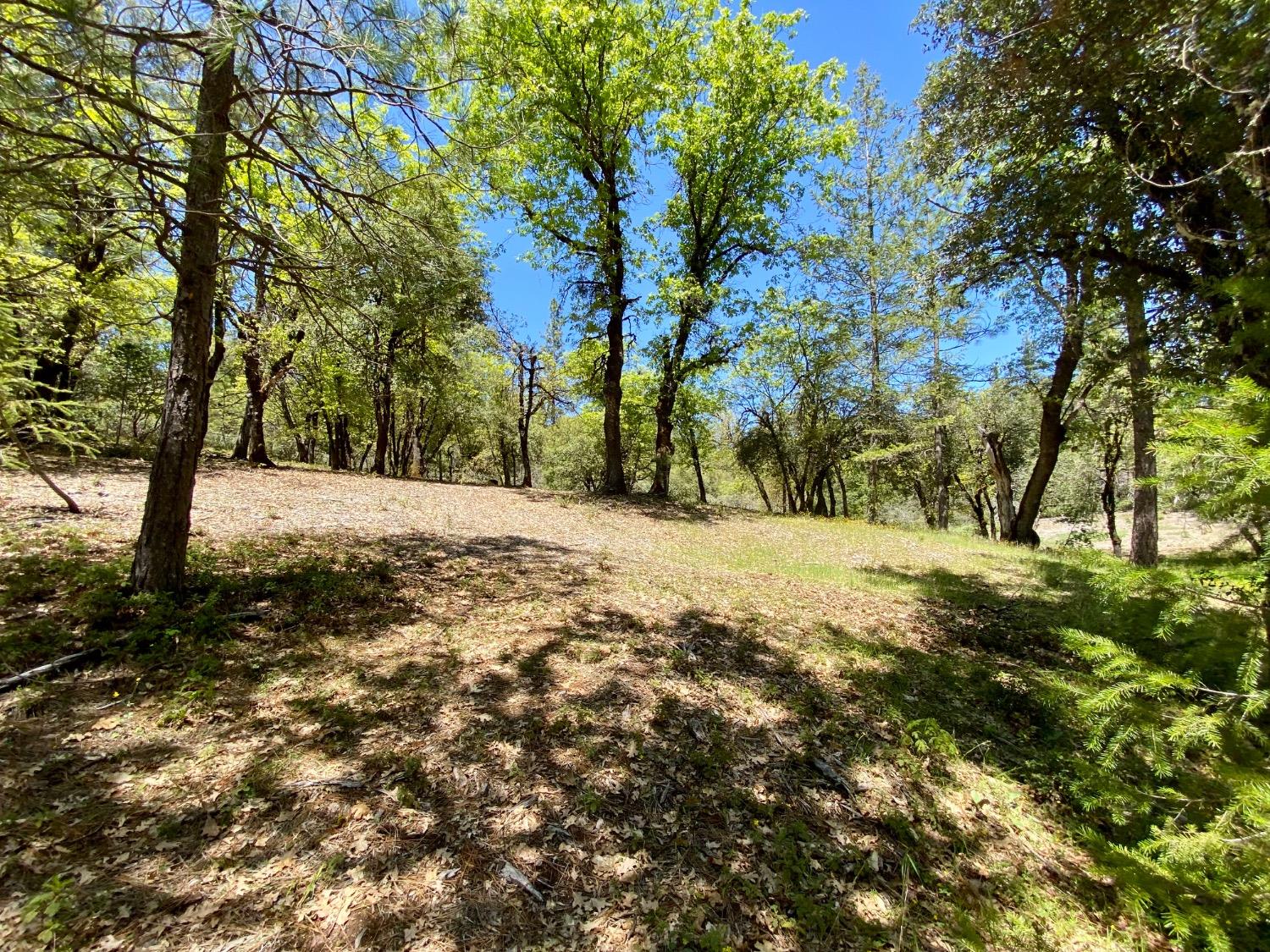 Red Dog Road, Nevada City, California image 25