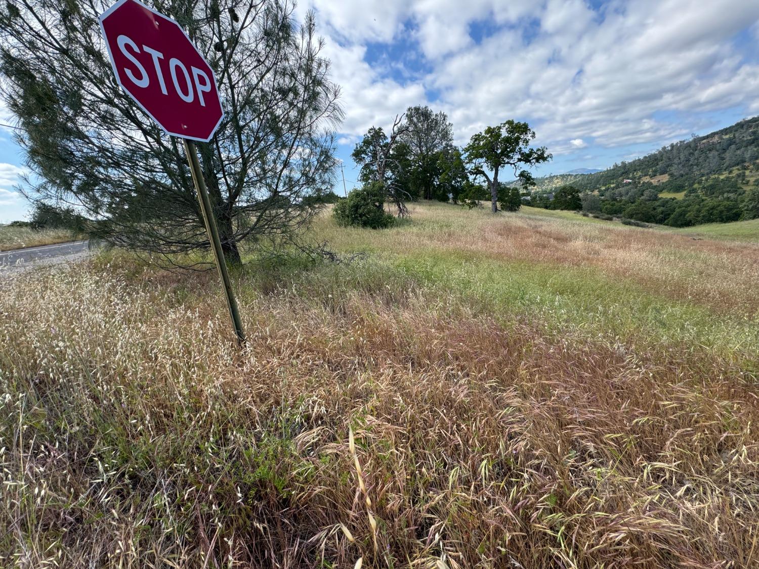 Bolivar Court, La Grange, California image 5
