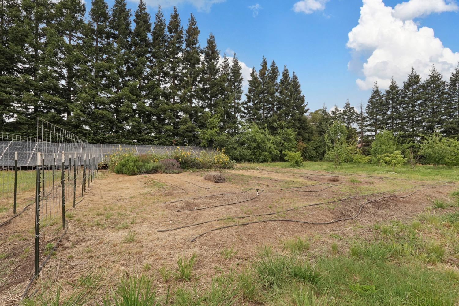 Detail Gallery Image 65 of 74 For 16231 N Hoerl Rd, Lodi,  CA 95240 - 5 Beds | 4/1 Baths
