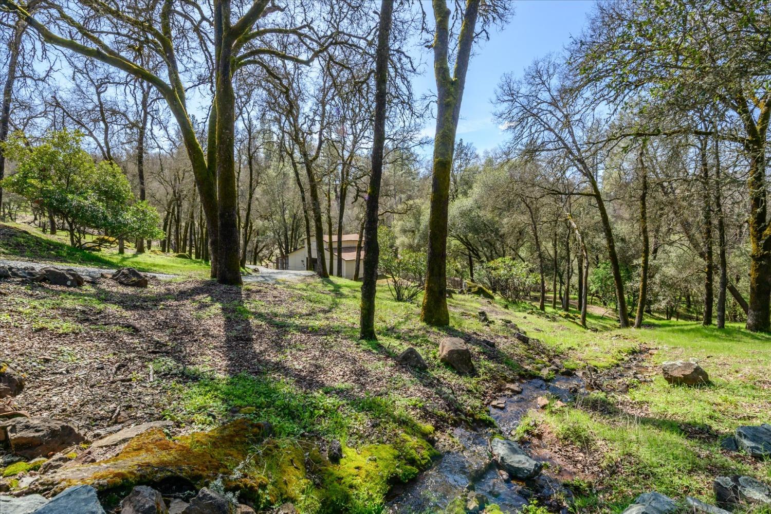Oakvale Road, Shingle Springs, California image 50