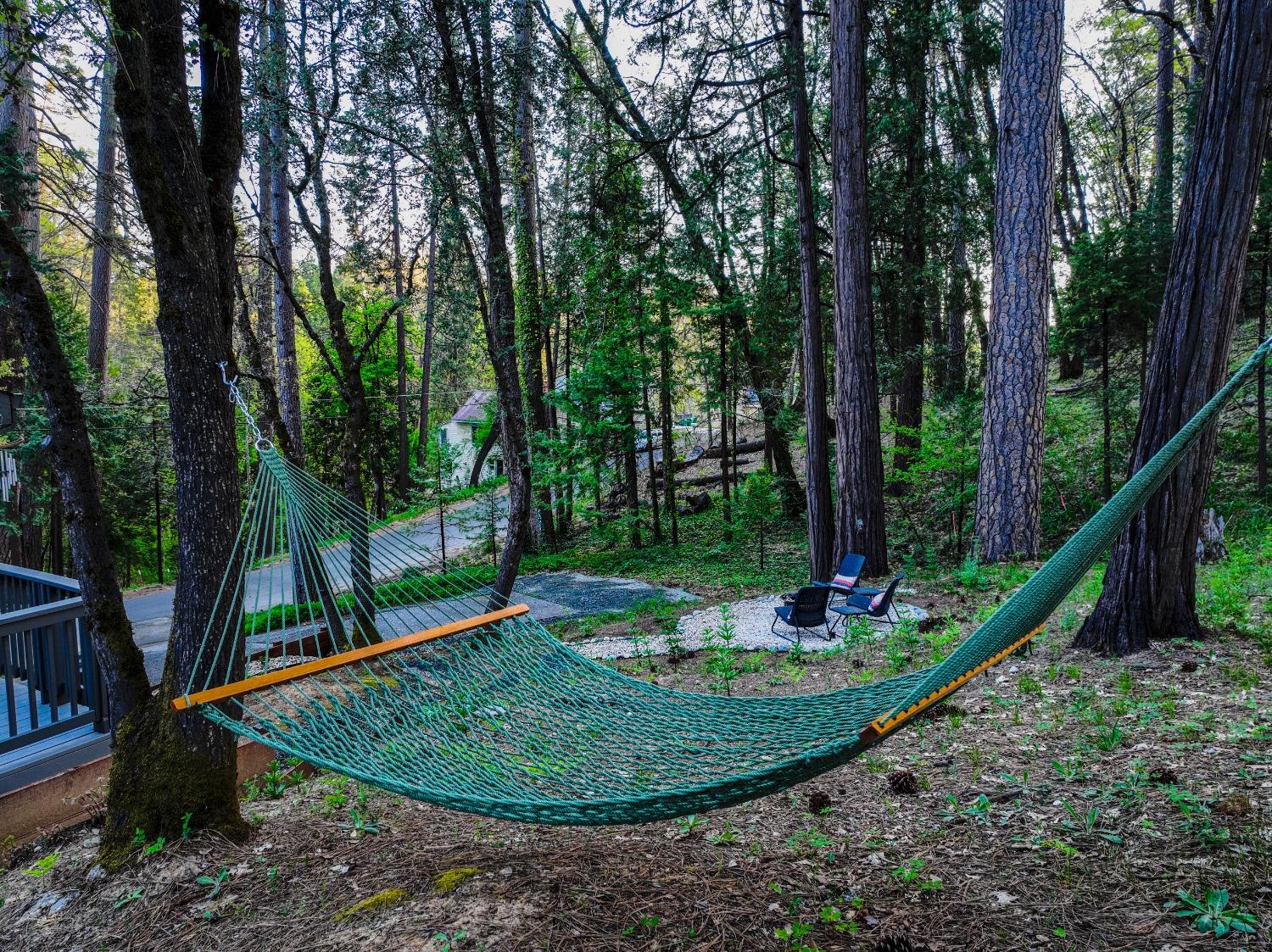 Grove Street, Nevada City, California image 8