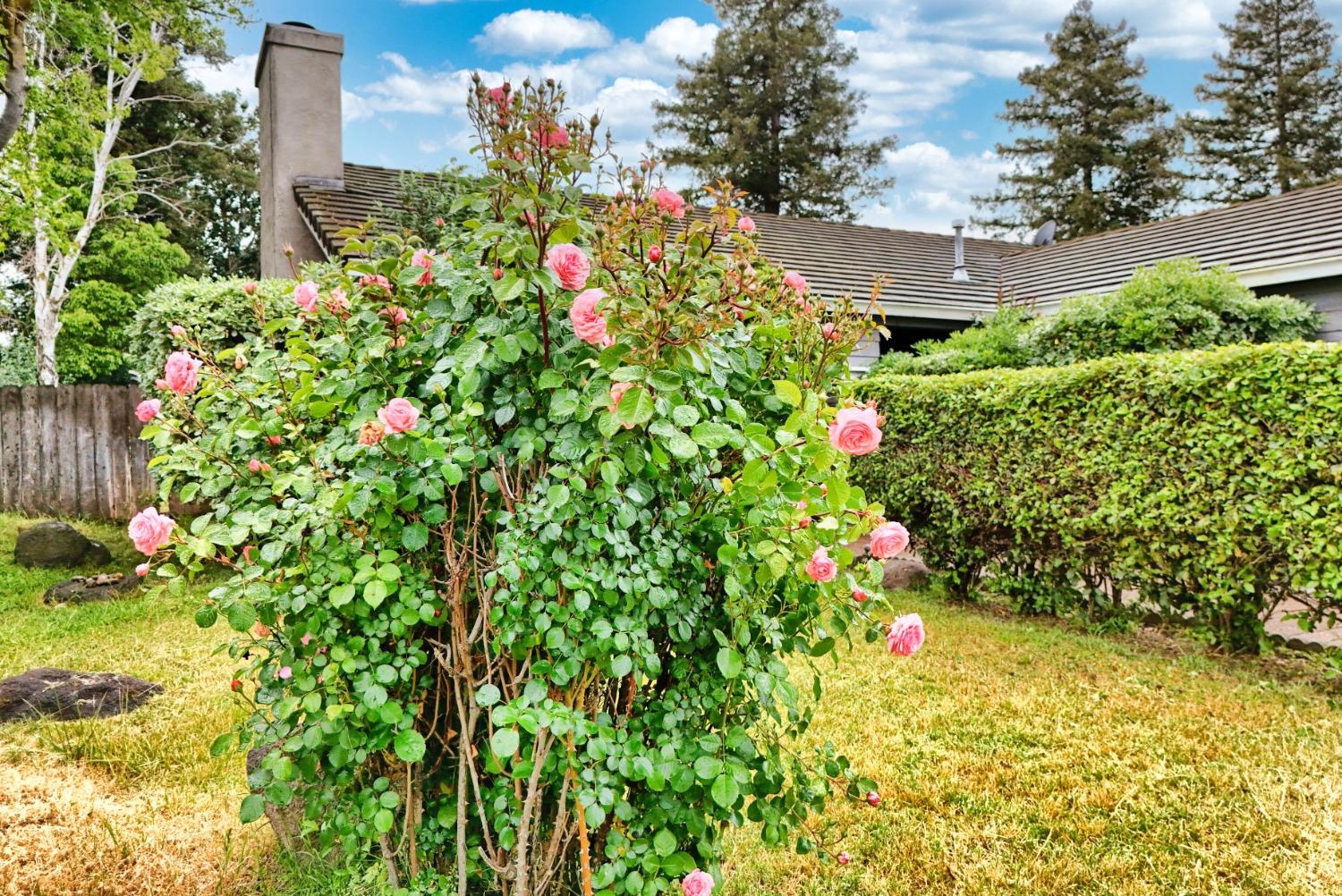 Detail Gallery Image 81 of 83 For 774 Long Barn Dr, Lathrop,  CA 95330 - 3 Beds | 2 Baths