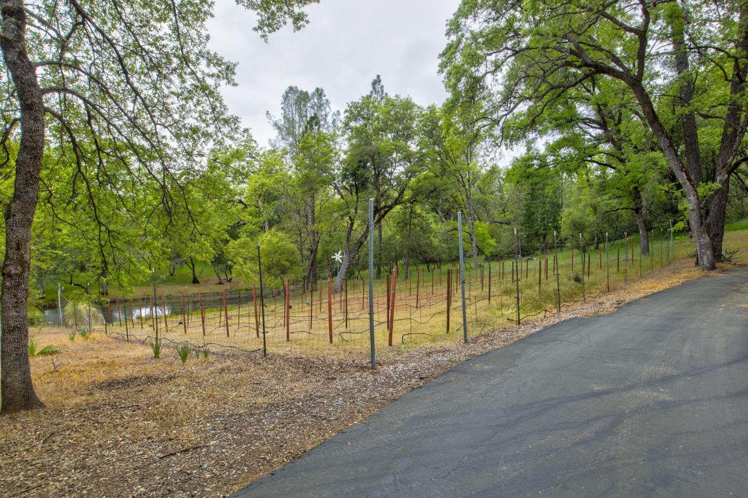 Detail Gallery Image 76 of 97 For 6909 Flat Creek Rd, Somerset,  CA 95684 - 3 Beds | 2/1 Baths