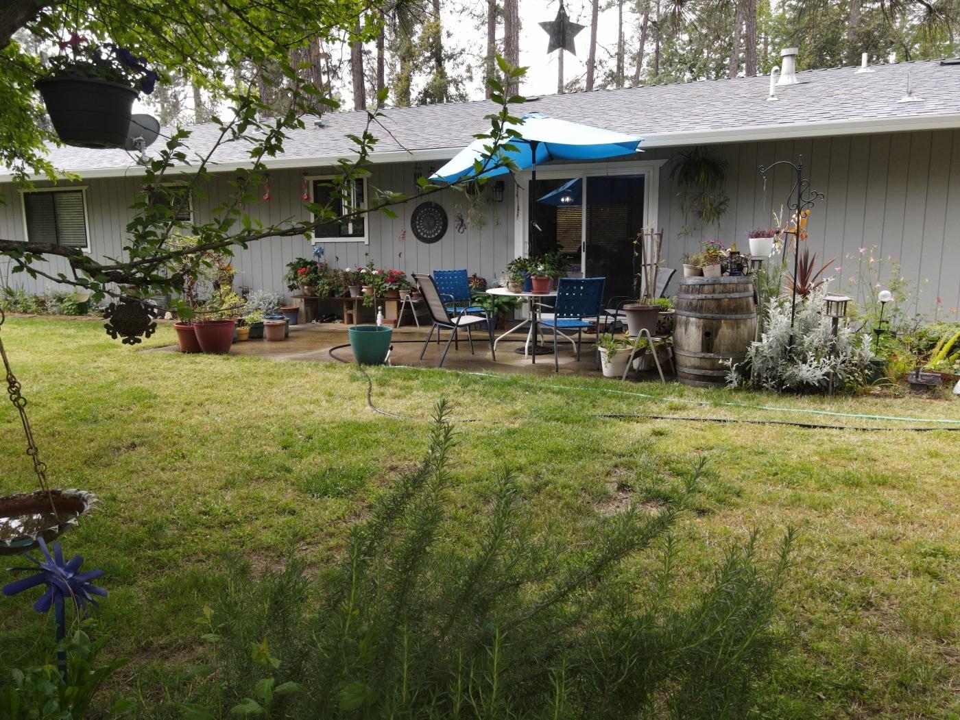 Tawny Lane, Colfax, California image 37