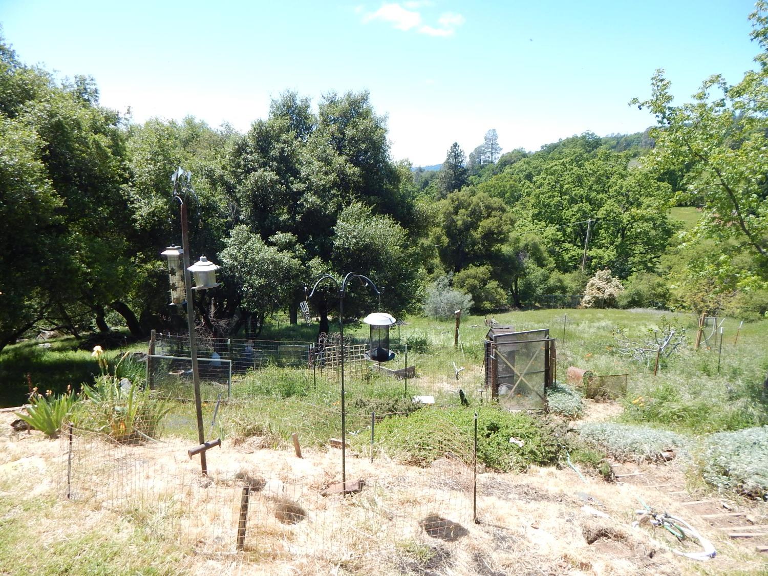 Springer Road, Placerville, California image 11
