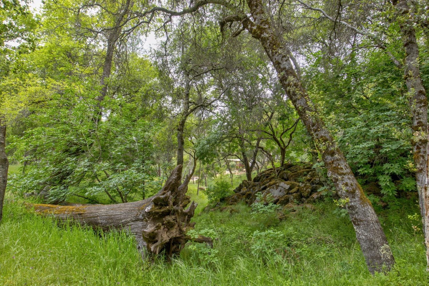 Detail Gallery Image 89 of 97 For 6909 Flat Creek Rd, Somerset,  CA 95684 - 3 Beds | 2/1 Baths