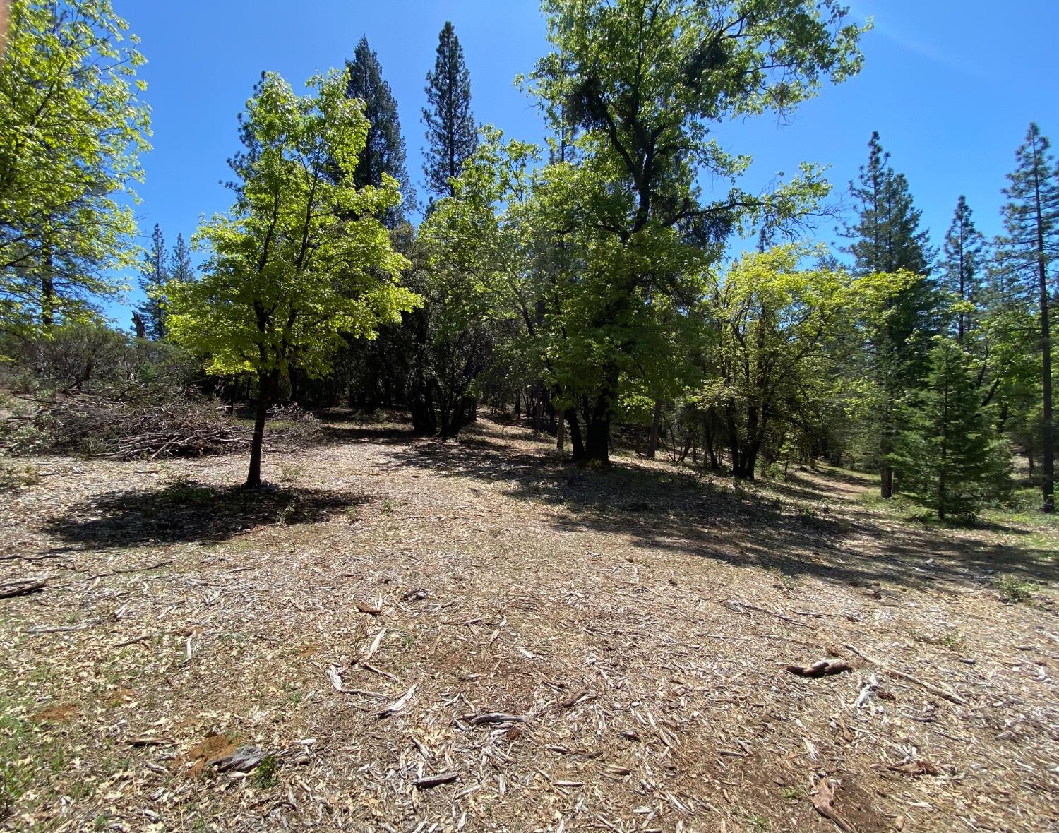 Red Dog Road, Nevada City, California image 9