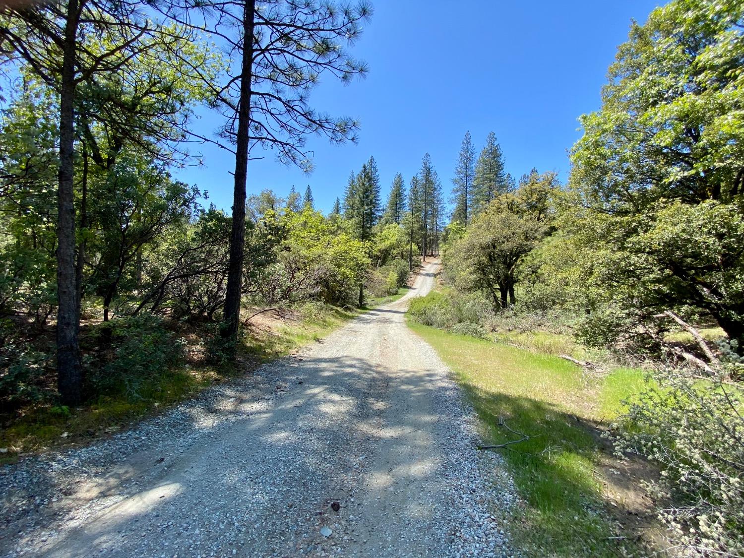 Red Dog Road, Nevada City, California image 37