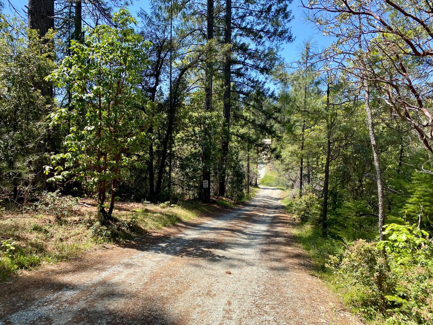 Red Dog Road, Nevada City, California image 6