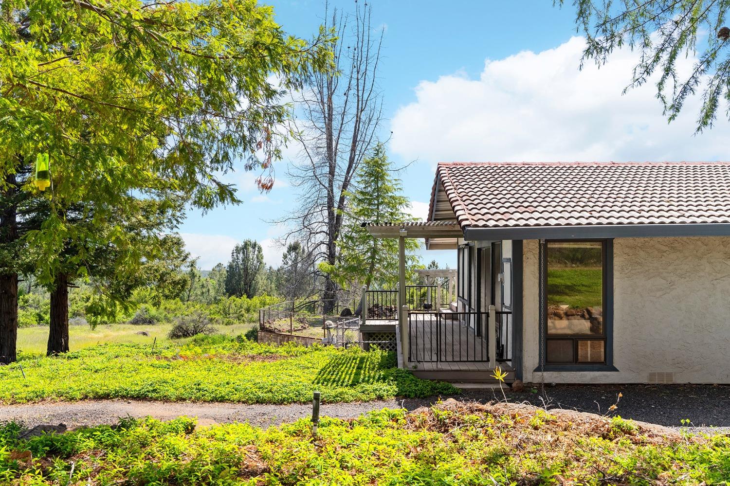 Altatina Drive, Chico, California image 5