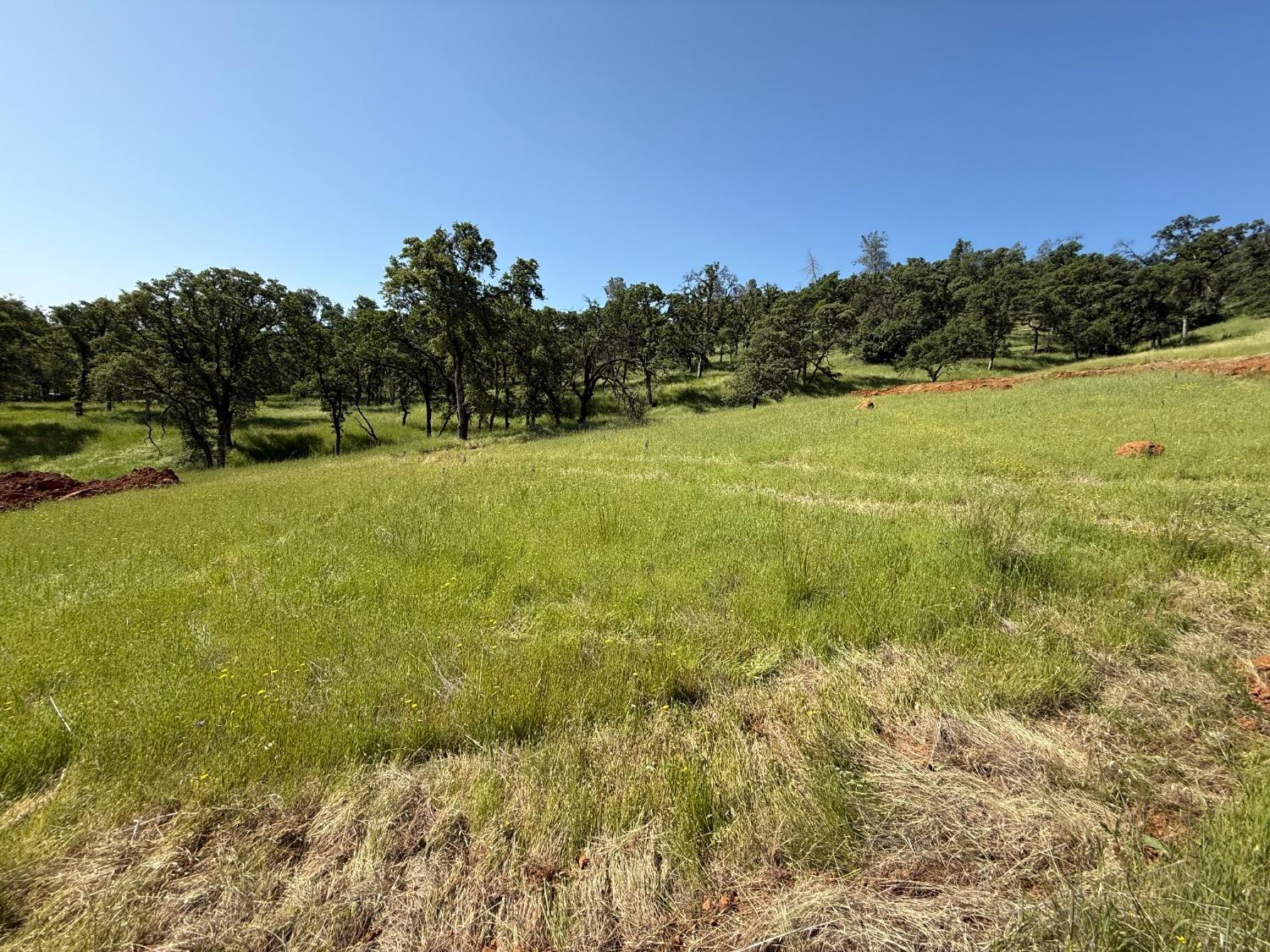 Detail Gallery Image 72 of 91 For 3 Boulder Way, –,  CA 95977 - – Beds | – Baths