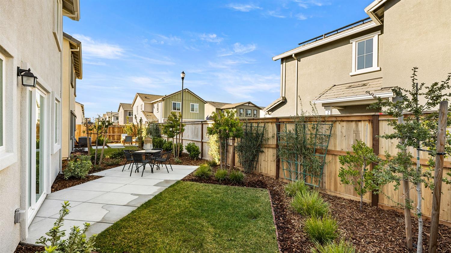 Lone Sycamore Street, Roseville, California image 10