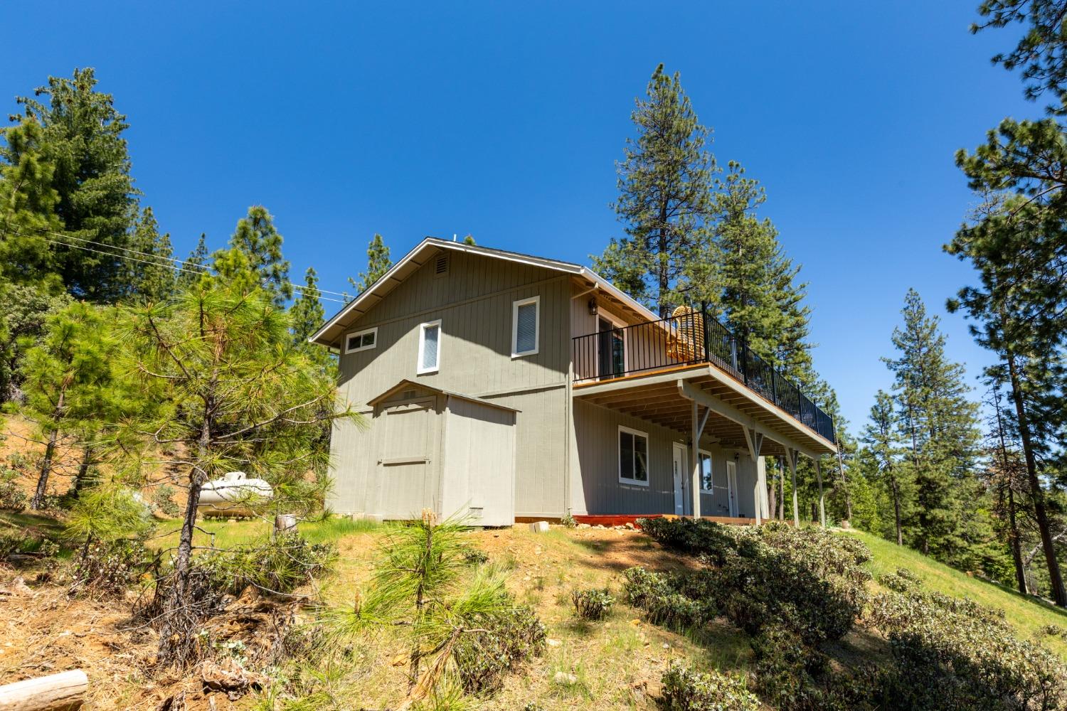 Wildrose Drive, Grizzly Flats, California image 35
