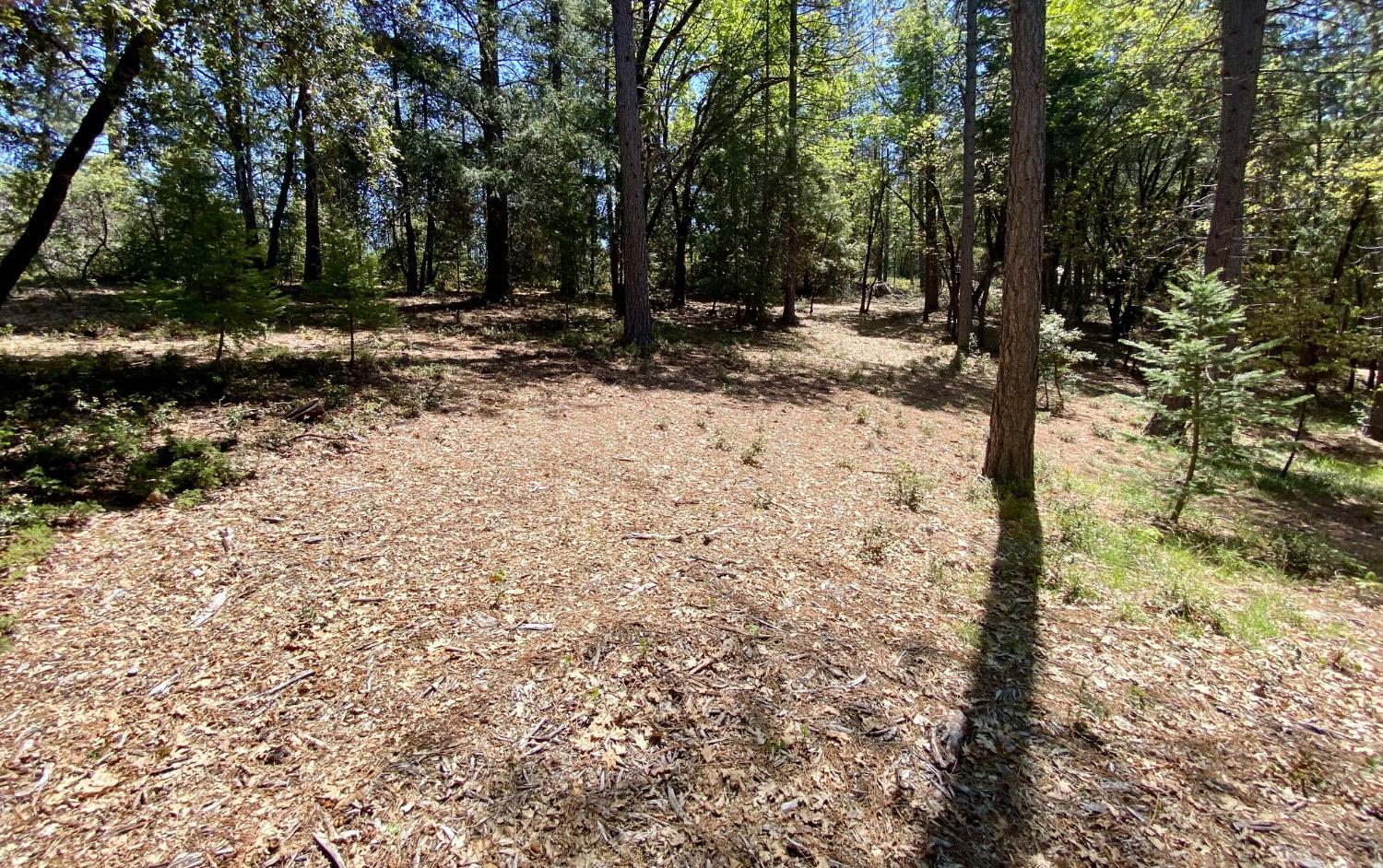 Red Dog Road, Nevada City, California image 15