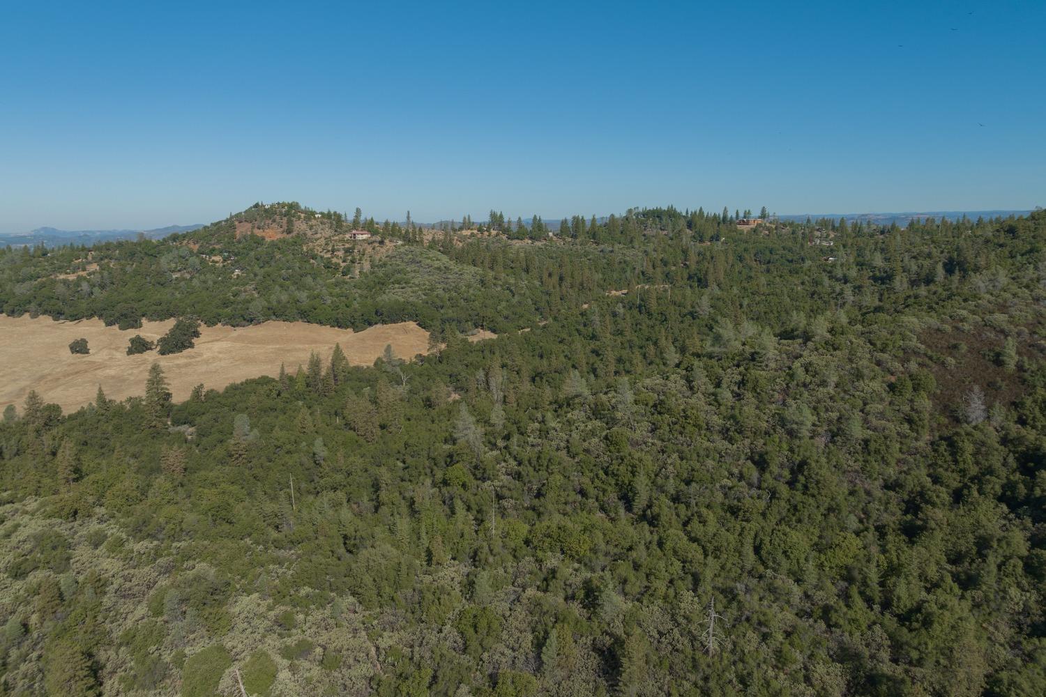 French Gulch Road, Murphys, California image 5