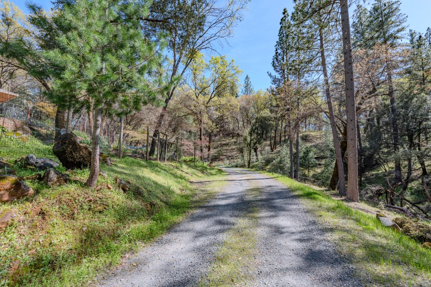 Wolf Creek Road, Grass Valley, California image 49