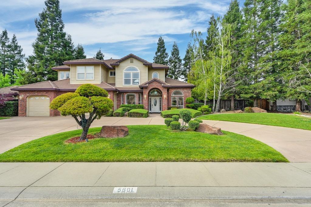 Lawnview Way, Elk Grove, California image 5