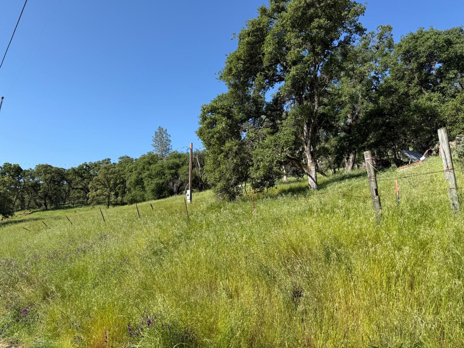 Boulder Way, Smartsville, California image 6