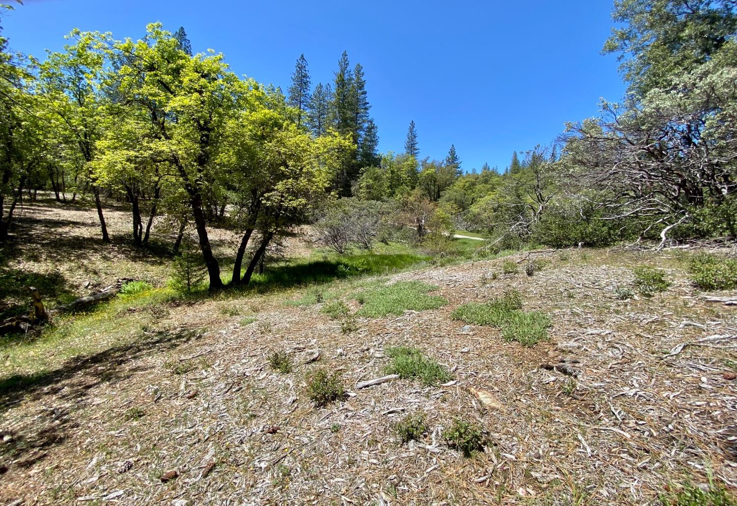 Red Dog Road, Nevada City, California image 1