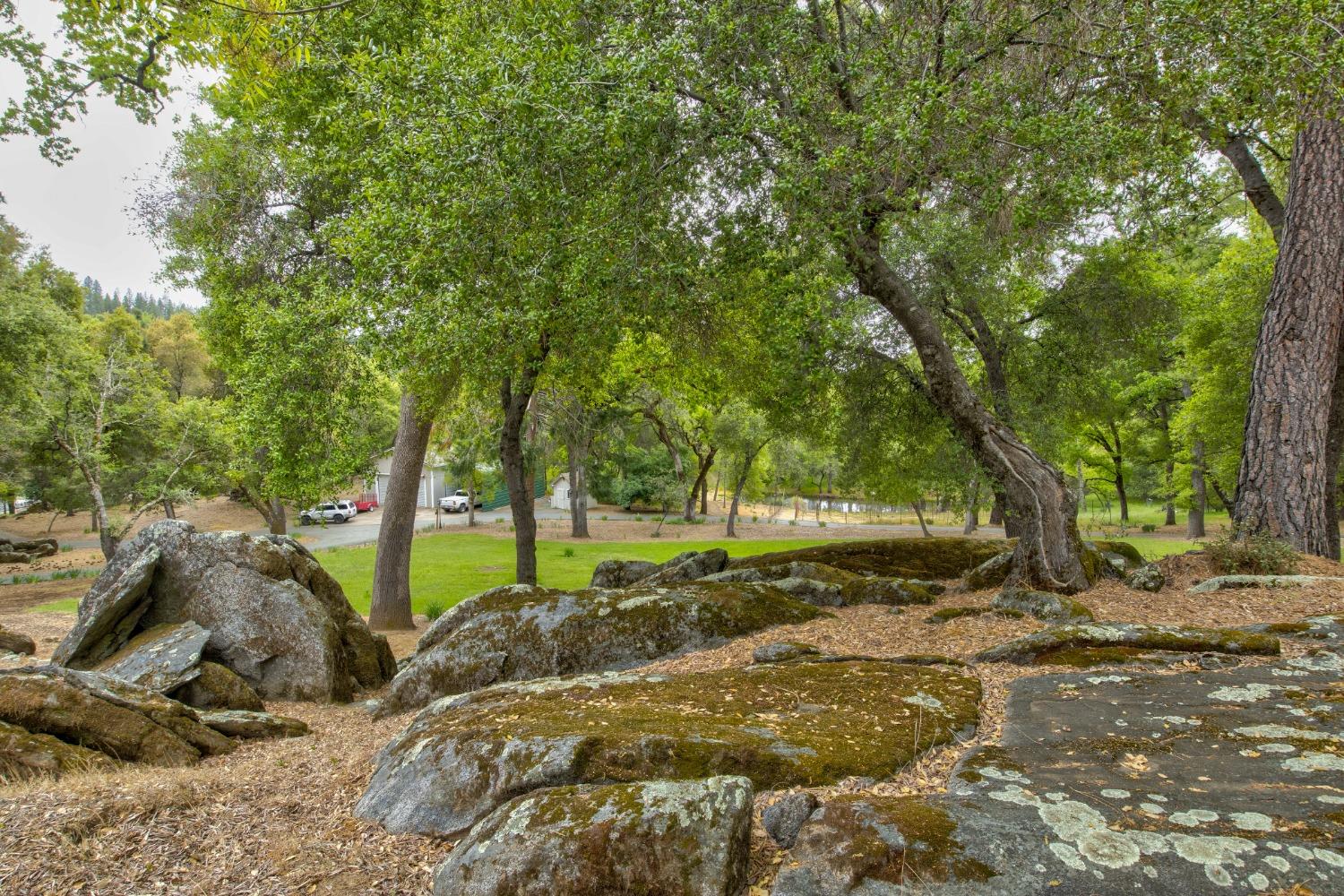 Detail Gallery Image 51 of 97 For 6909 Flat Creek Rd, Somerset,  CA 95684 - 3 Beds | 2/1 Baths