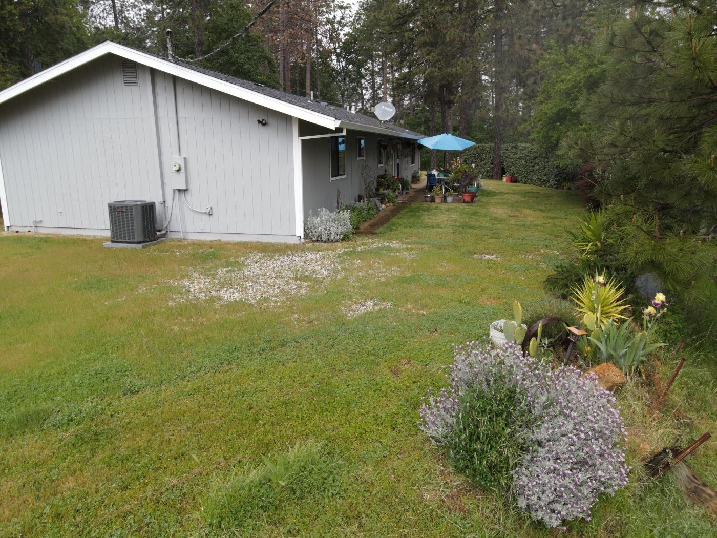 Tawny Lane, Colfax, California image 38