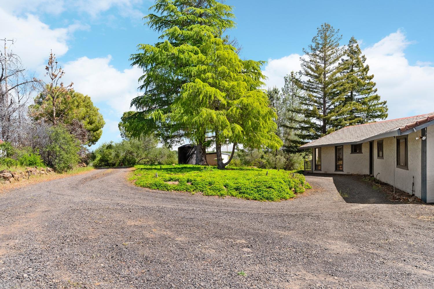 Altatina Drive, Chico, California image 7