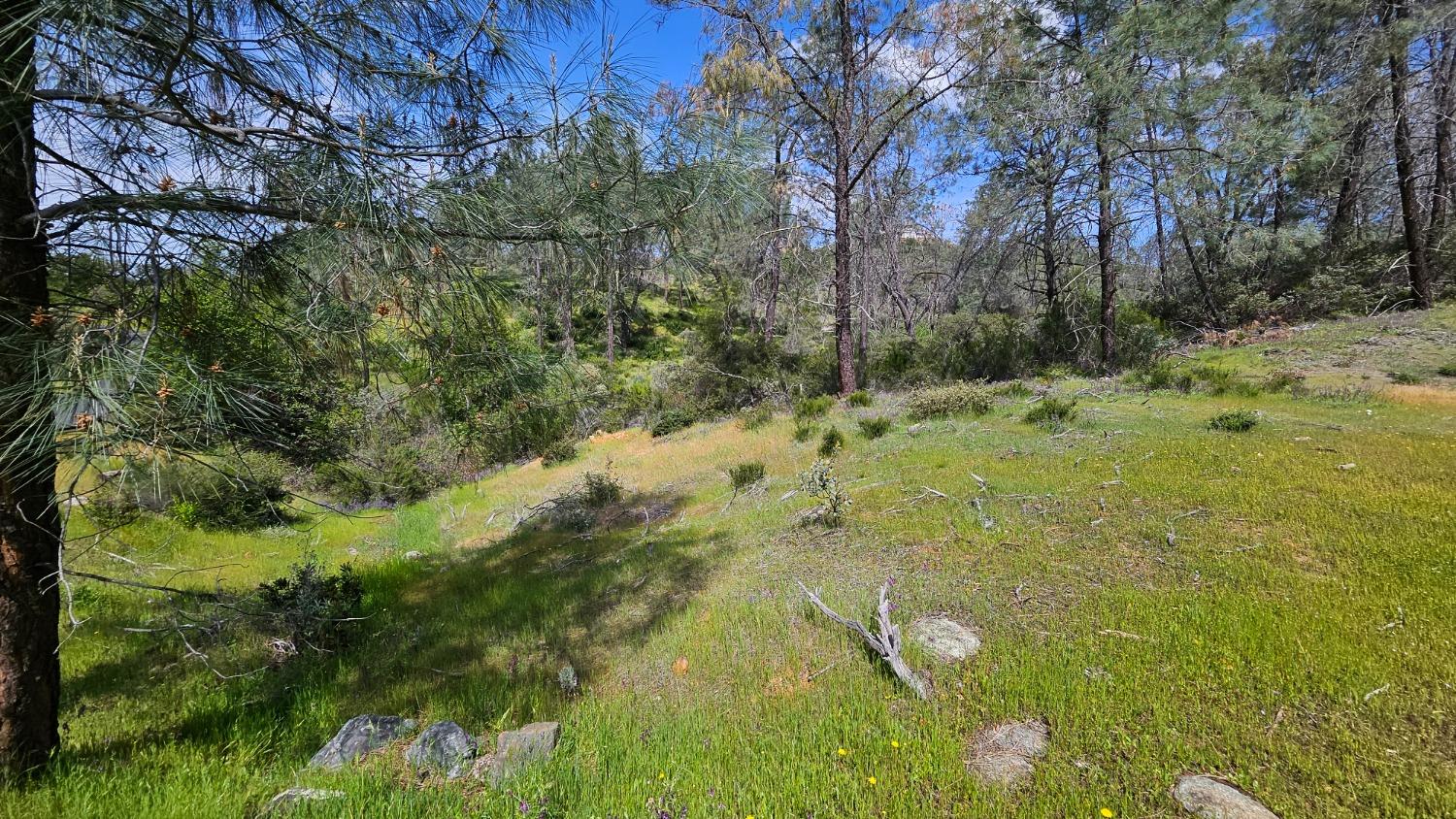 Hidden Bridge Road, El Dorado Hills, California image 11