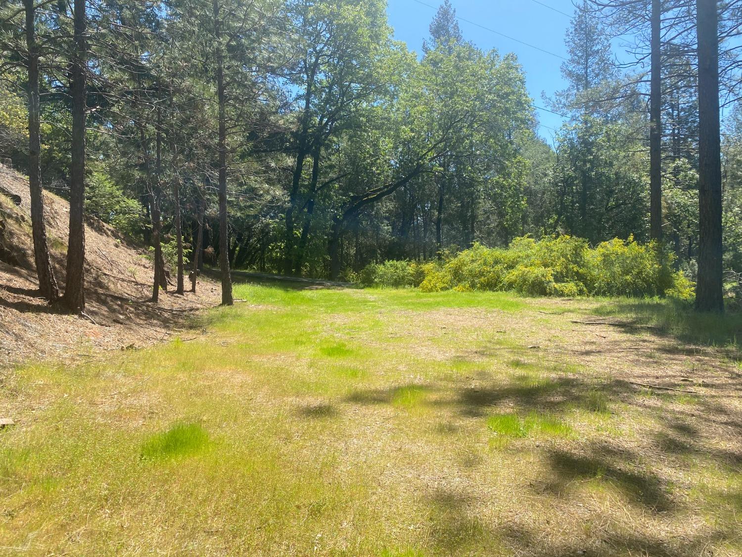 Detail Gallery Image 6 of 12 For 20931 Suncrest Dr, Colfax,  CA 95713 - – Beds | – Baths