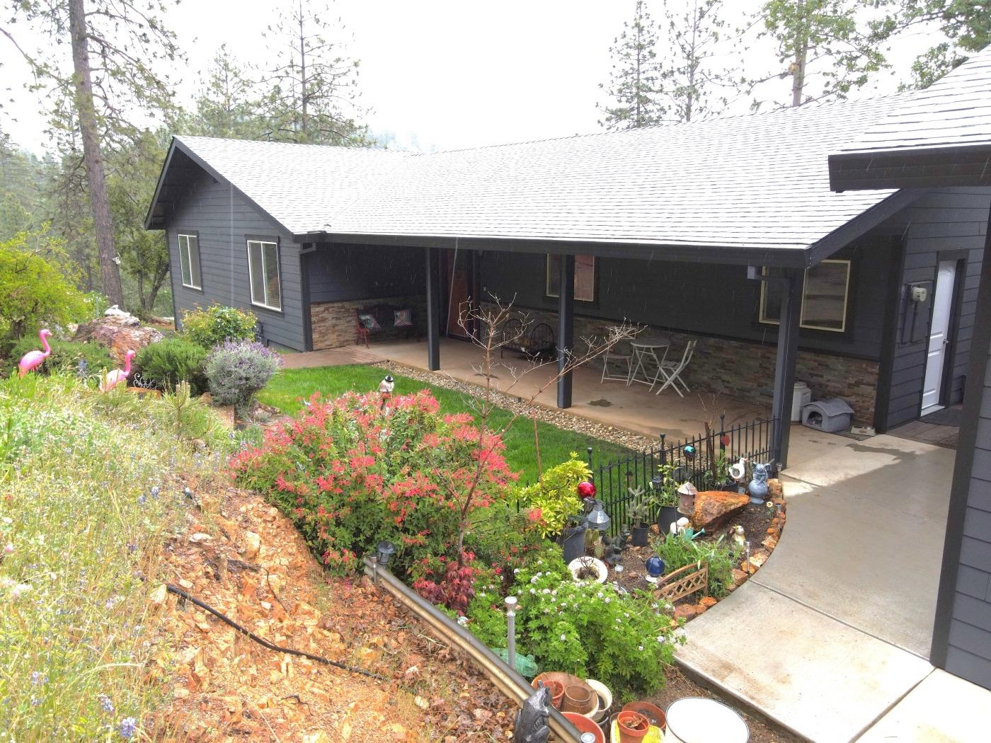 Tawny Lane, Colfax, California image 1