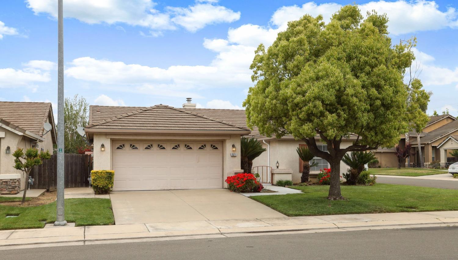 Ponderosa Drive, Lodi, California image 3