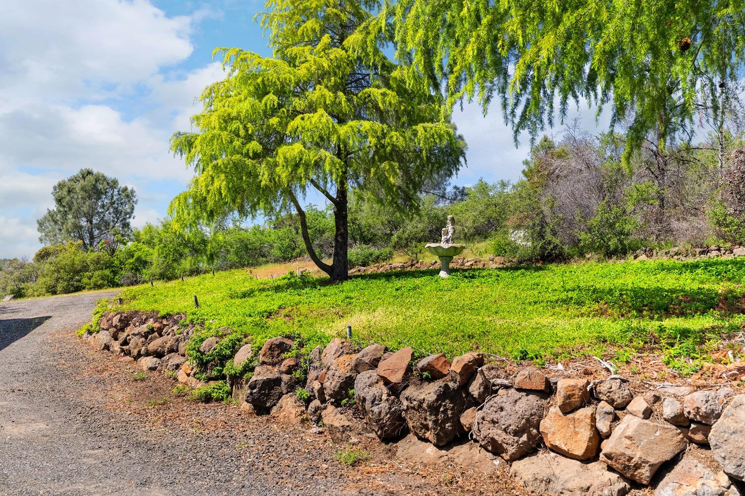 Detail Gallery Image 58 of 68 For 4444 Altatina Dr, Chico,  CA 95928 - 2 Beds | 2 Baths