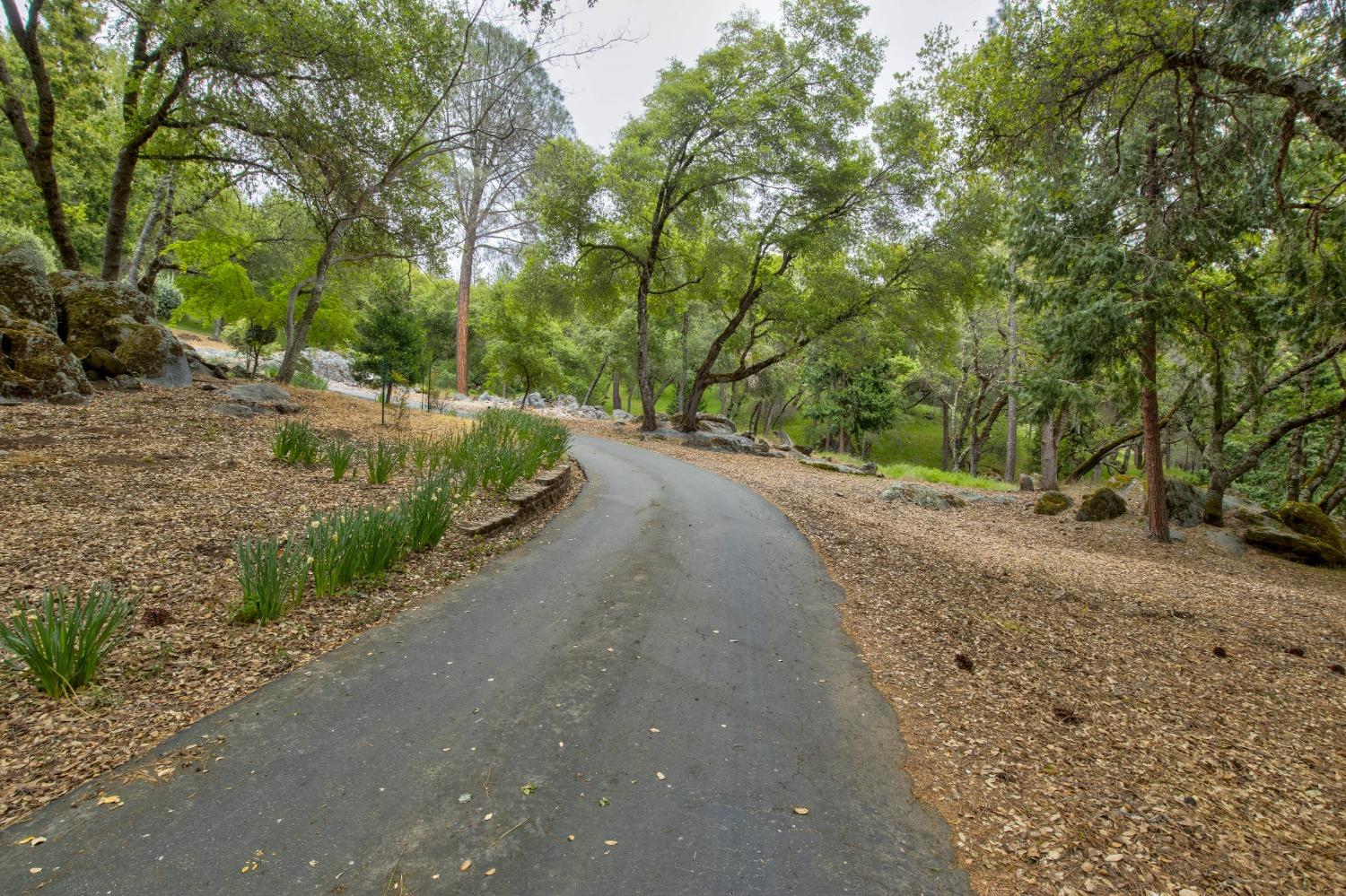 Detail Gallery Image 83 of 97 For 6909 Flat Creek Rd, Somerset,  CA 95684 - 3 Beds | 2/1 Baths