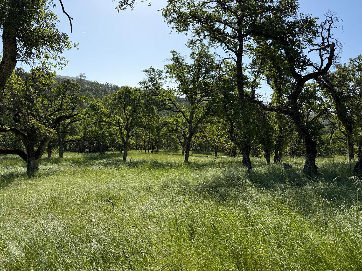 Boulder Way, Smartsville, California image 33