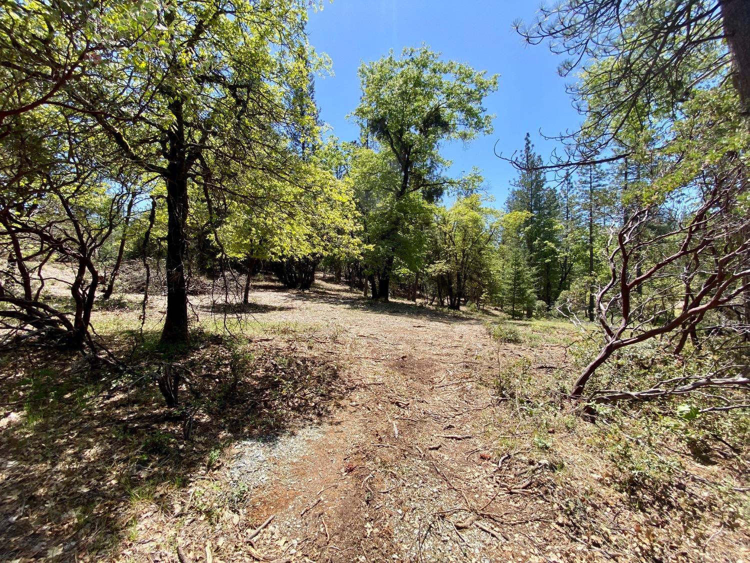 Red Dog Road, Nevada City, California image 11
