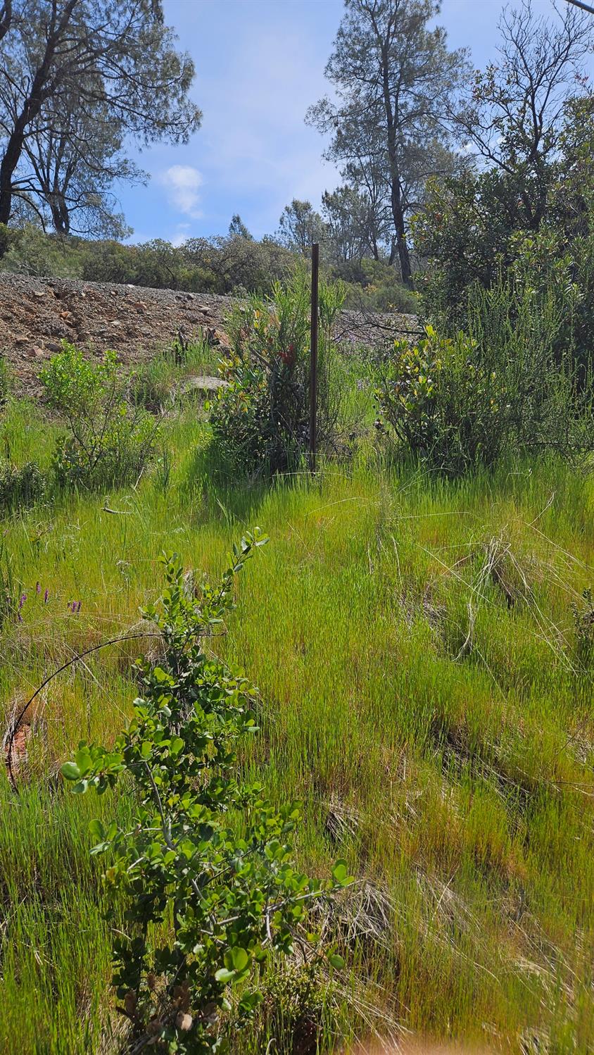 Hidden Bridge Road, El Dorado Hills, California image 4