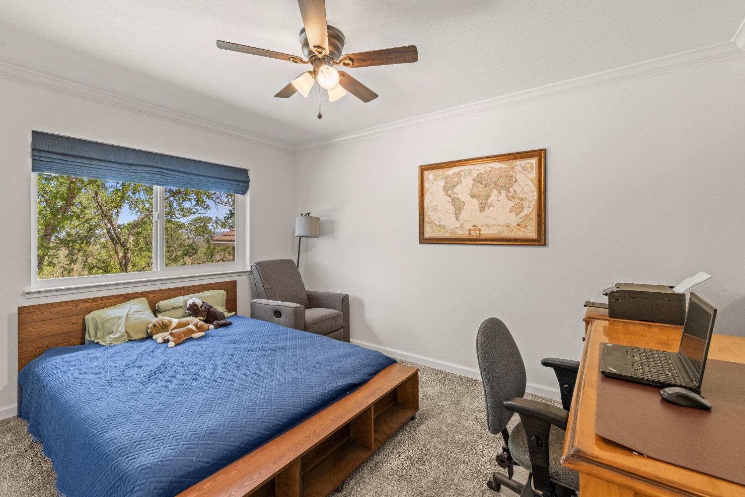 Ridge Park Drive, Loomis, California image 36