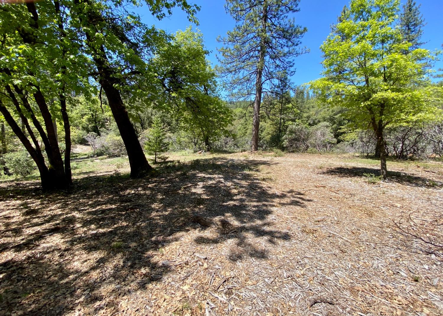 Red Dog Road, Nevada City, California image 14