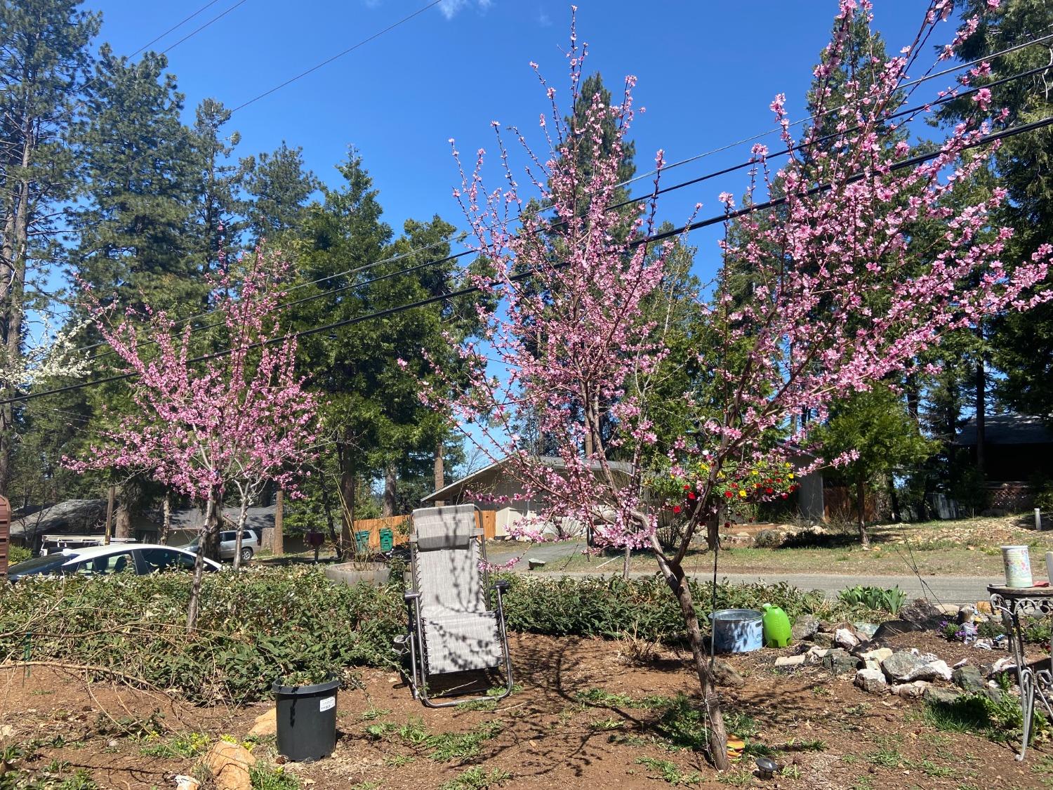 Ridgeway Drive, Pollock Pines, California image 18