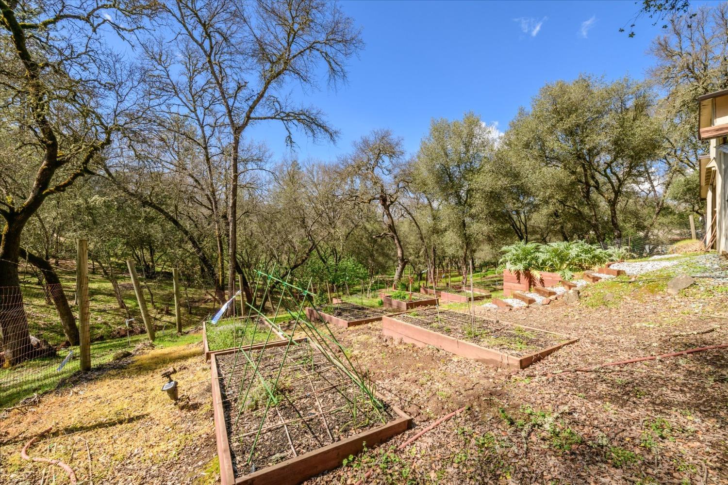 Oakvale Road, Shingle Springs, California image 47