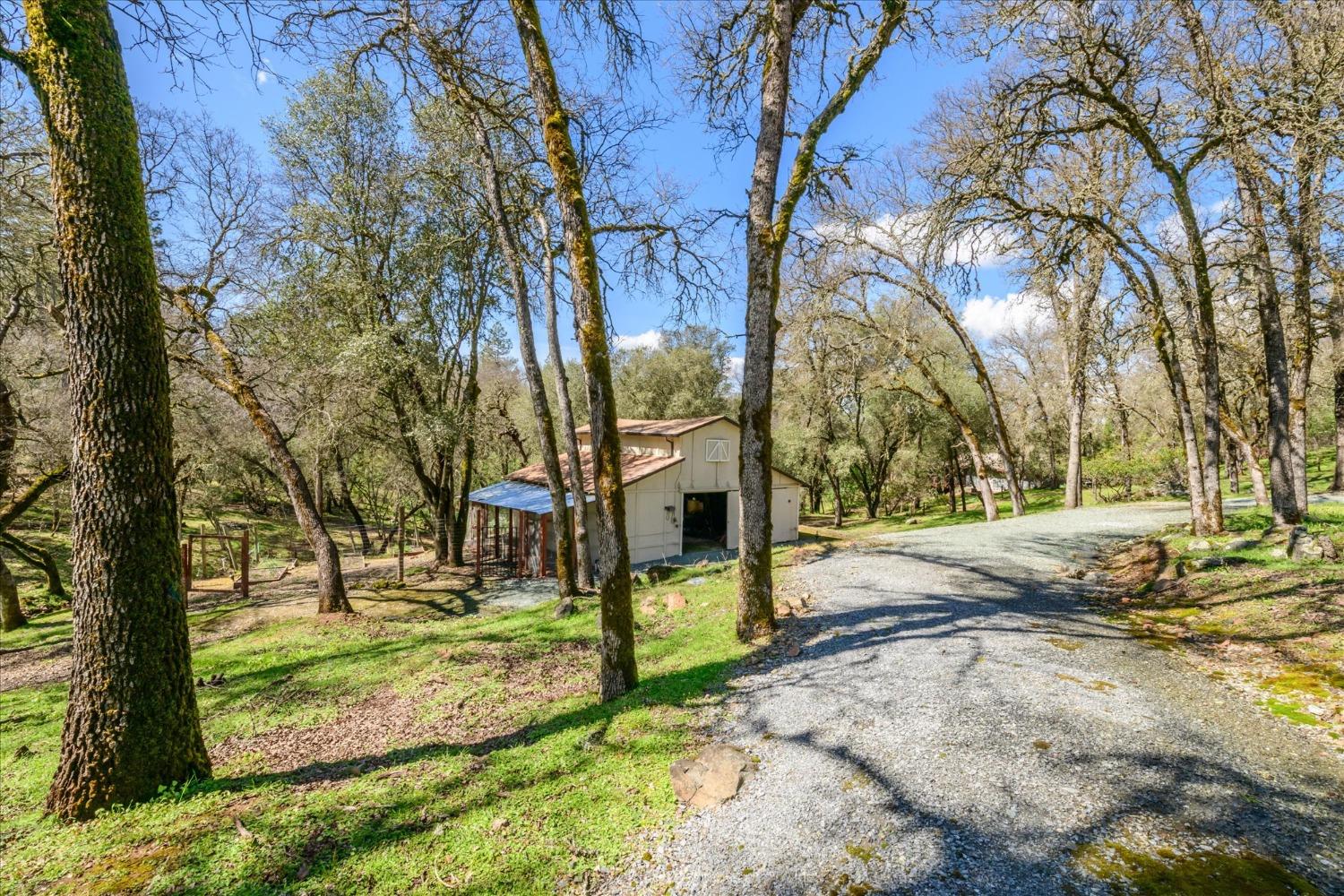 Oakvale Road, Shingle Springs, California image 45