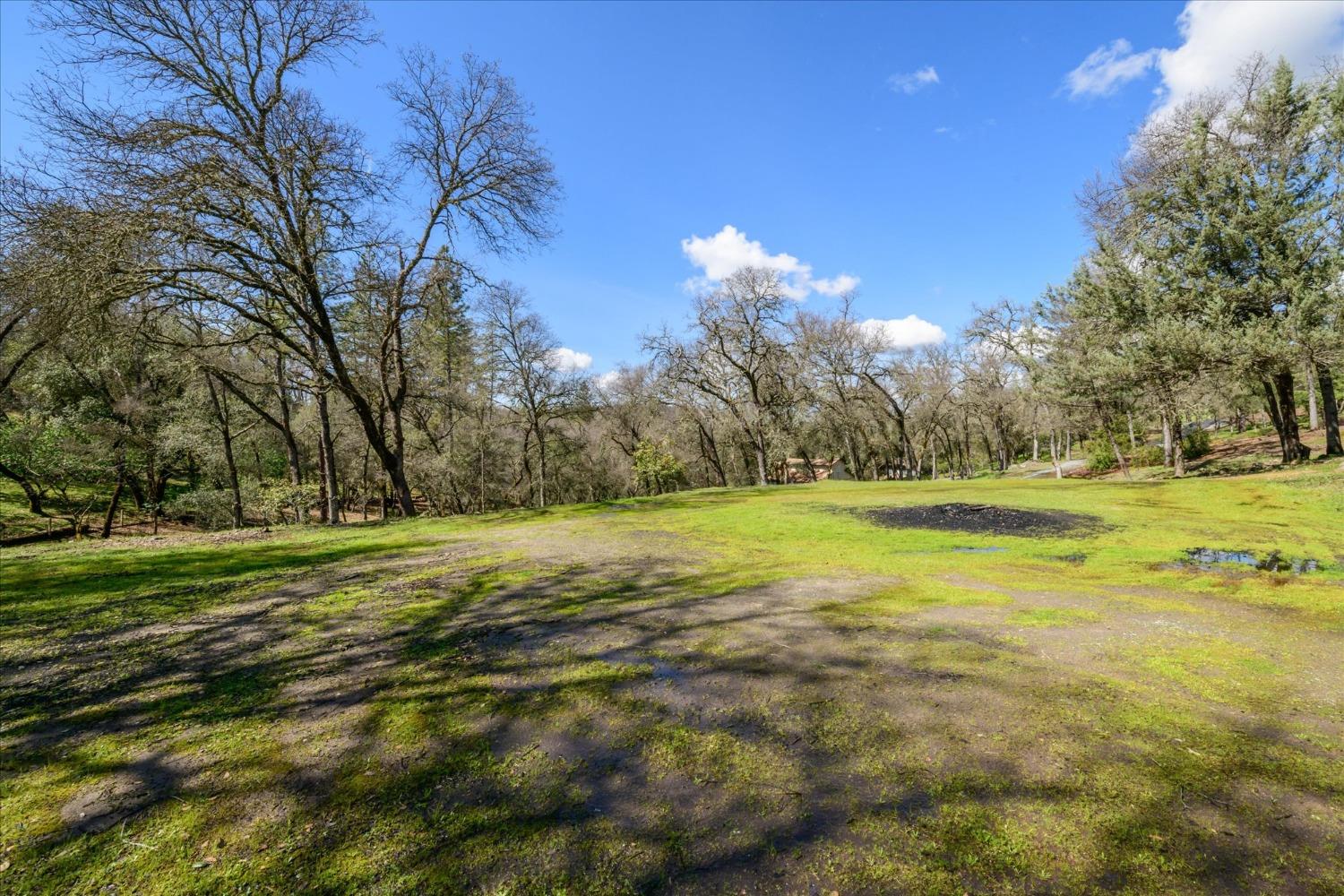 Oakvale Road, Shingle Springs, California image 49