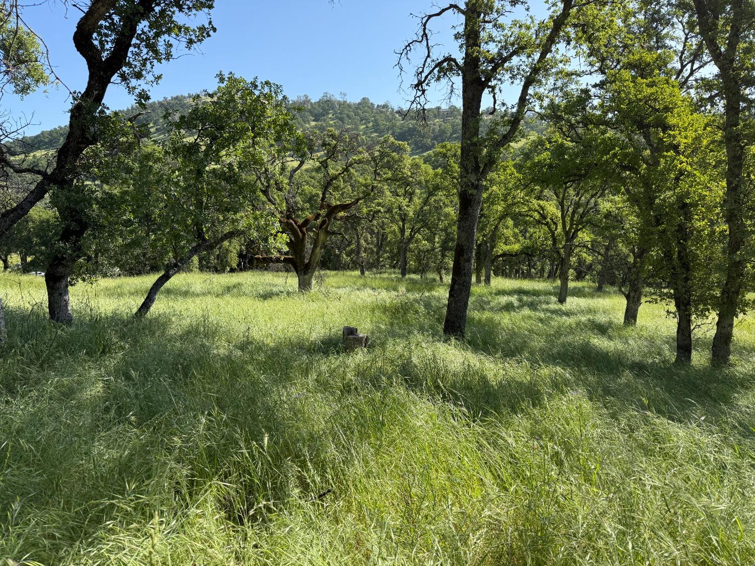 Boulder Way, Smartsville, California image 38