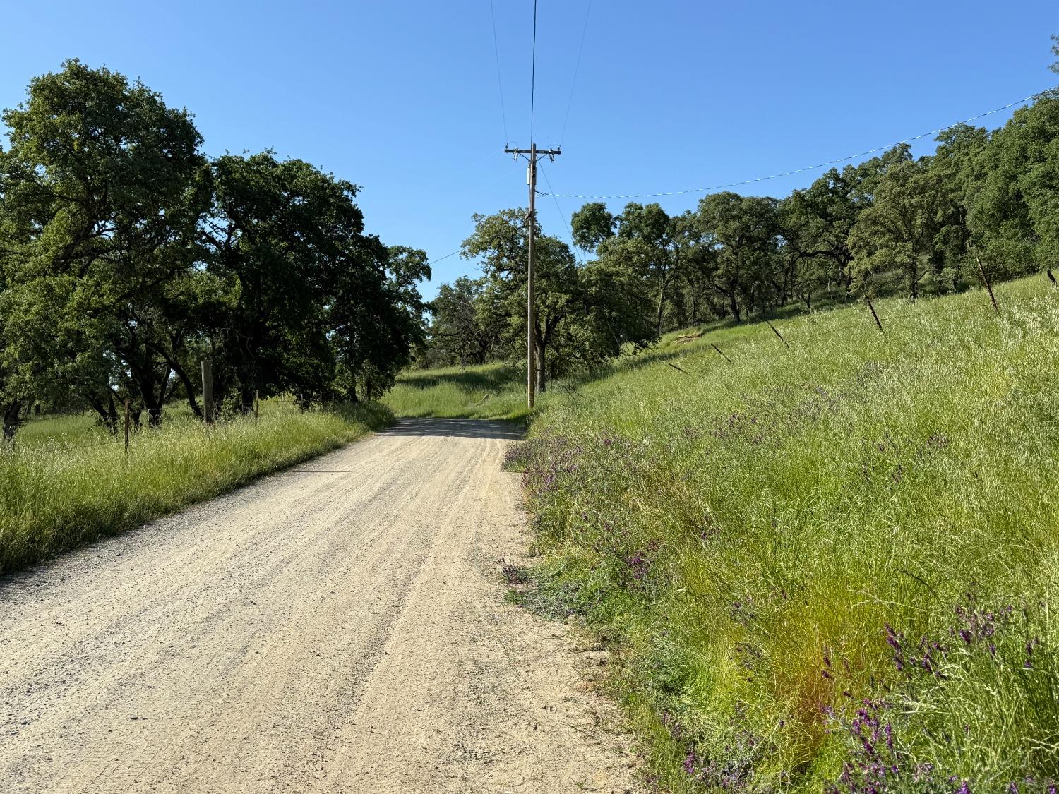 Boulder Way, Smartsville, California image 7