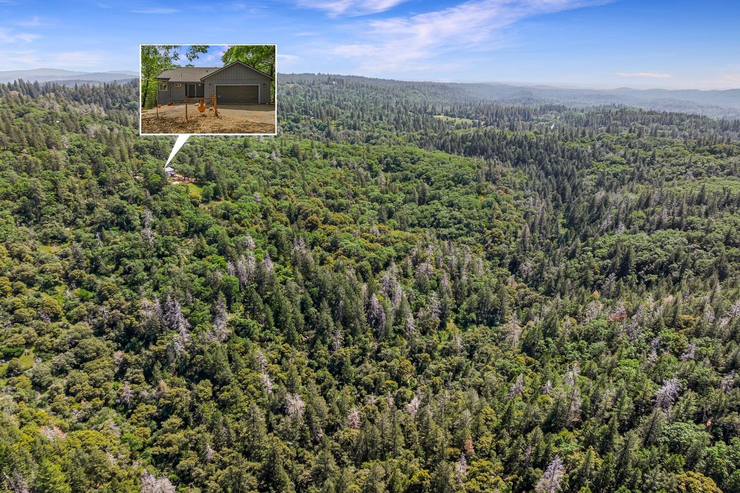 Detail Gallery Image 61 of 71 For 2240 Slate Ct, Greenwood,  CA 95635 - 3 Beds | 2/1 Baths