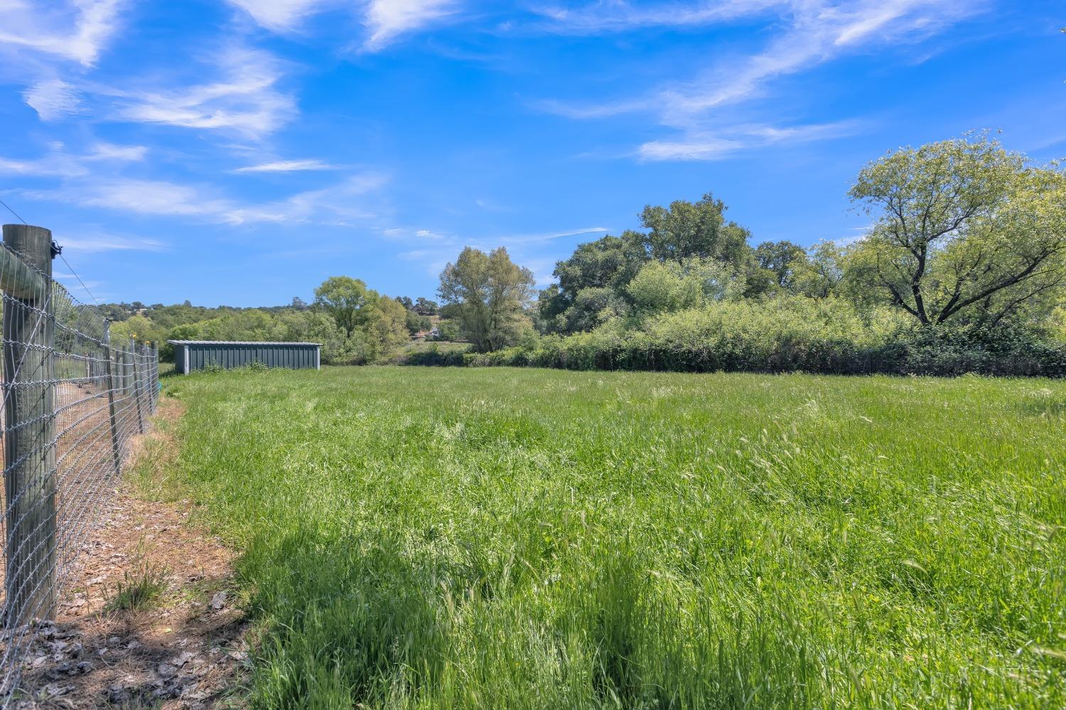 Big Oak Lane, Browns Valley, California image 45